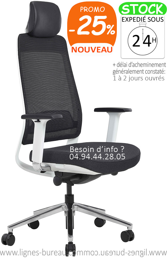 Fauteuil Ergonomique Design Noir et Blanc haut de gamme. Achat / vente -  Mobilier de bureau professionnel