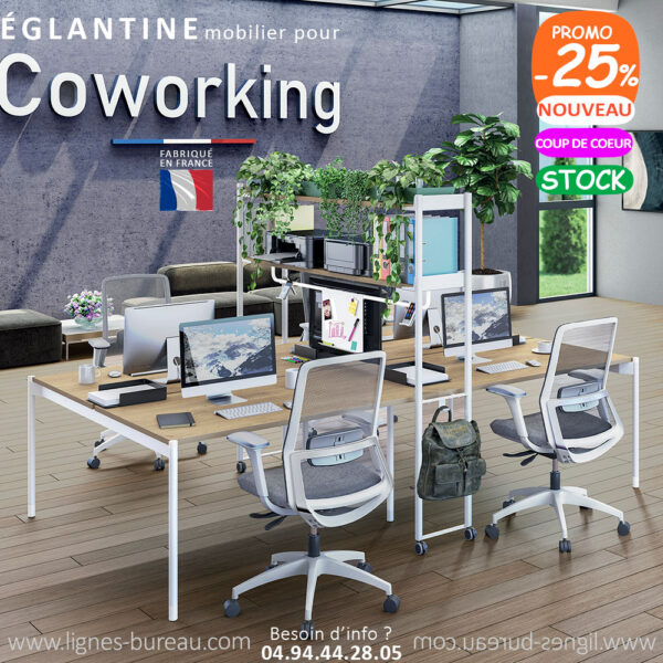 Table coworking pour 4 avec étagères. Mobilier pour bureaux partagés, Églantine