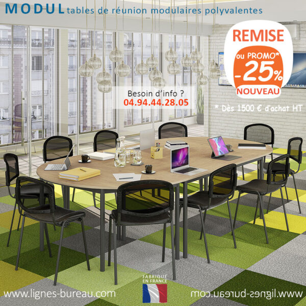 Table de réunion modulable économique 10 places, arrondie, chêne clair, Modul