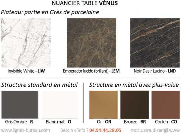 Nuancier des tables basses décors marbres pour accueil Vénus